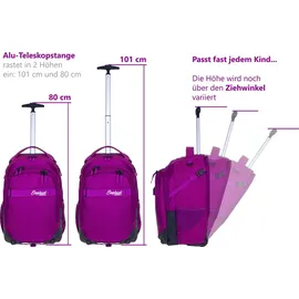 Elephant Gin Hero Signature Wild Berry