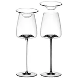 Zieher Vision Fresh Weingläser + Deckel 2er Set transparent