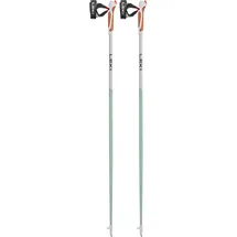 Leki Passion 100 cm smokegreen-white-dark anthracite