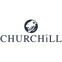 Churchill Super Vitrified Studio Prints Raku Topaz Blue Flache Coup Teller, 26 cm, 12 Stück