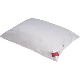 Hefel KlimaControl Fair Kissen 40 x 80 cm Weiß