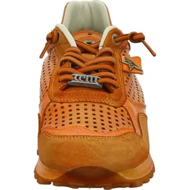 CETTI C-848 V26 Herren Orange 42
