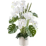 Creativ green Kunstorchidee »Orchidee Phalaenopsis«, mit Gräsern und Splitphilo-Blättern beige