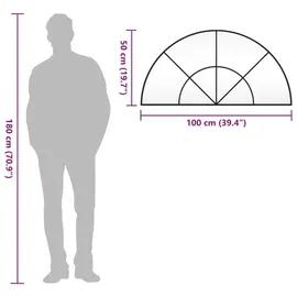 vidaXL Wandspiegel Schwarz 100x50 cm Gewölbt Eisen