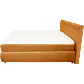 LEONIQUE Boxspringbett LEONIQUE "Rumba", gold (goldfarben), B:190cm L:213cm, Samtoptik (100% Polyester), Komplettbetten, Boxspringbett Seniorenbett Polsterbett, Taschenfederkern-Matratze in Härtegrad 3, in 4 Breiten, incl. Topper