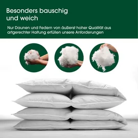 HANSKRUCHEN GmbH HANSKRUCHEN® Daunendecke 200x200 cm Leicht 90% Daunen waschbar Allergiker Decke atmungsaktiv Kassettenbettdecke weiß - Premium de Luxe / Weiß