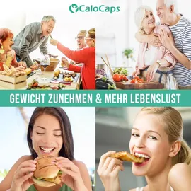 CALOVITAL Gewichtszunahme Kapseln 90 St.