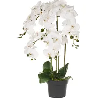 Beliani Kunstpflanze Orchid 65 cm