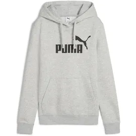 Puma Fleece Hoodie Light Gray Heather XXL