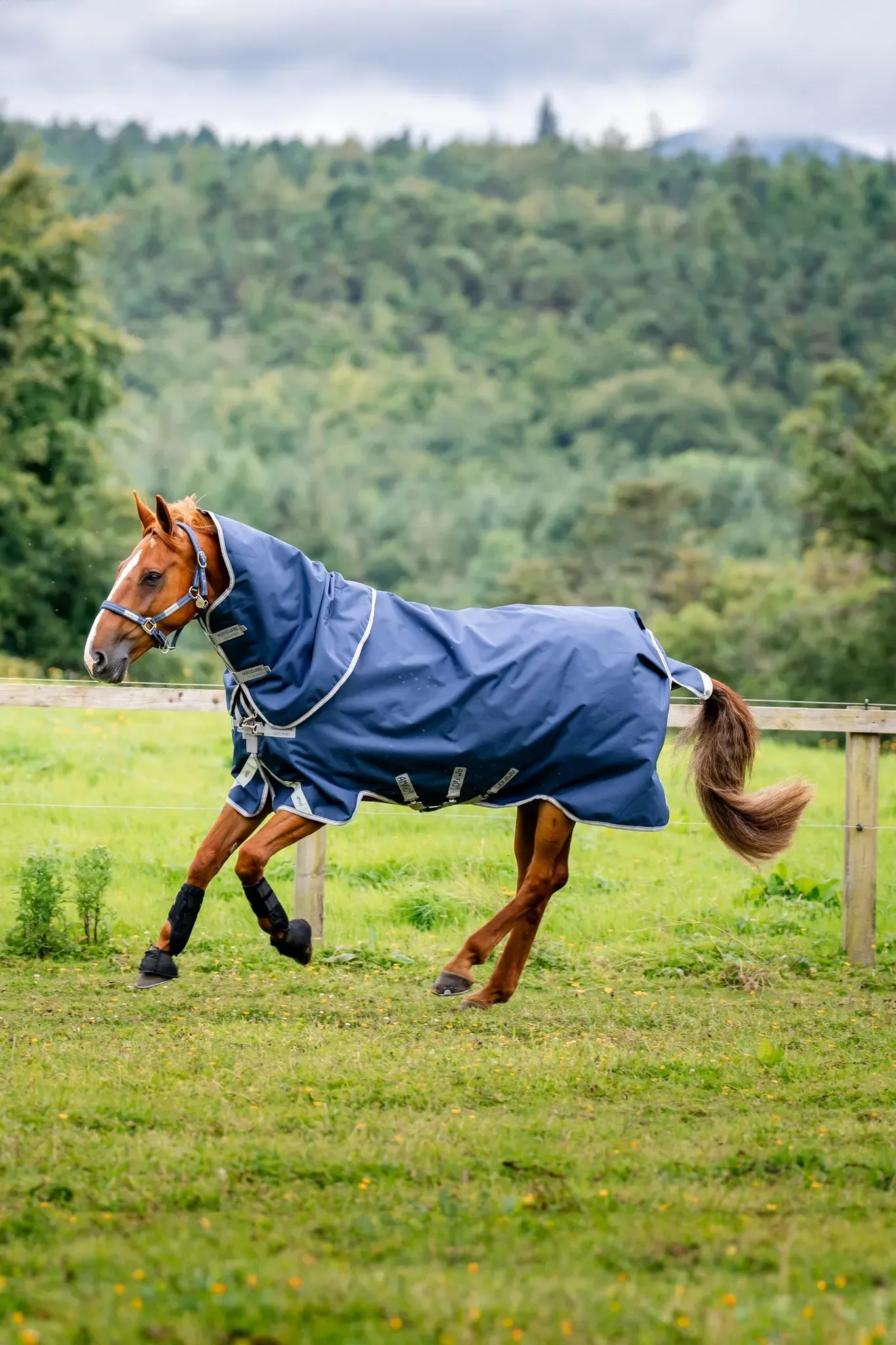 Horseware Amigo Bravo 12 Plus 100g