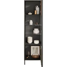 Home Affaire Standvitrine Everest 55 x 40 x 203 cm Grau