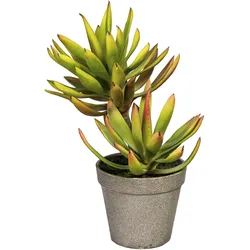 Künstliche Zimmerpflanze CREATIV GREEN "Deko-Sukkulente Aloe plicatilis", grün, B:12cm H:30cm L:13cm, Obermaterial: 100% Polyethylen, Kunstpflanzen