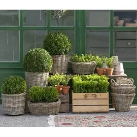 Van der Leeden Drypot Ø 68 x 52 cm Grau