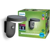 Philips LED Außenwandleuchte Tyla 255 lm