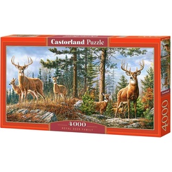 Castorland C-400317-2 puzzle Jigsaw puzzle 4000 pc(s) Animals