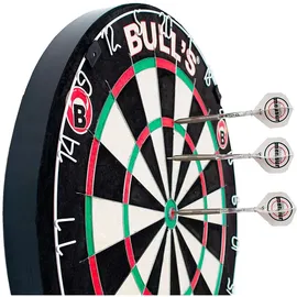 BULL'S Focus Bristle