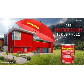 Consolan Wetterschutz-Farbe 2,5 l weiß seidenglänzend