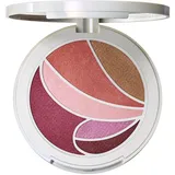 MAC Metamorphosis Spring Collection Face and Eye Palette 8 gr