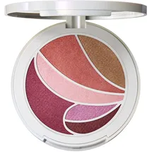 MAC Metamorphosis Spring Collection Face and Eye Palette 8 gr