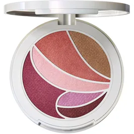MAC Metamorphosis Spring Collection Face and Eye Palette 8 gr