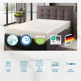Beco KS Luxus – GOLD Komfortschaummatratze 100 x 200 cm H2