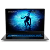 Erazer Defender P50i 43,9 cm (17,3" Zoll 144Hz) Full HD Gaming Laptop (Intel Core i7-13620H, 16GB DDR4 RAM, 1TB SSD, GeForce RTX 4060 8GB GDDR6, Win 11 Home)