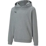 teamGOAL Pullover Medium Gray Heather 116