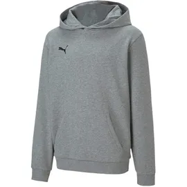 Puma teamGOAL 23 Casuals Hoody Jr Pullover, Medium Gray Heather, 116