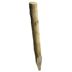 WoodLine Zaunpfahl Kastanie, rund, geschält, angespitzt 1,20 m...