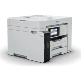 Epson M15180 schwarz/Grau