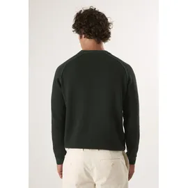 Felix Hardy Rundhalspullover grün XL