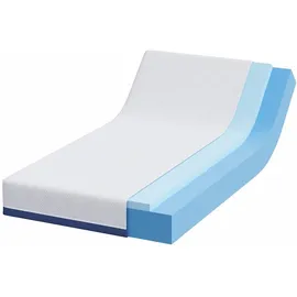 vidaXL Matratze Weiß und Blau 90 x 200 cm Gel-Speicherschaum