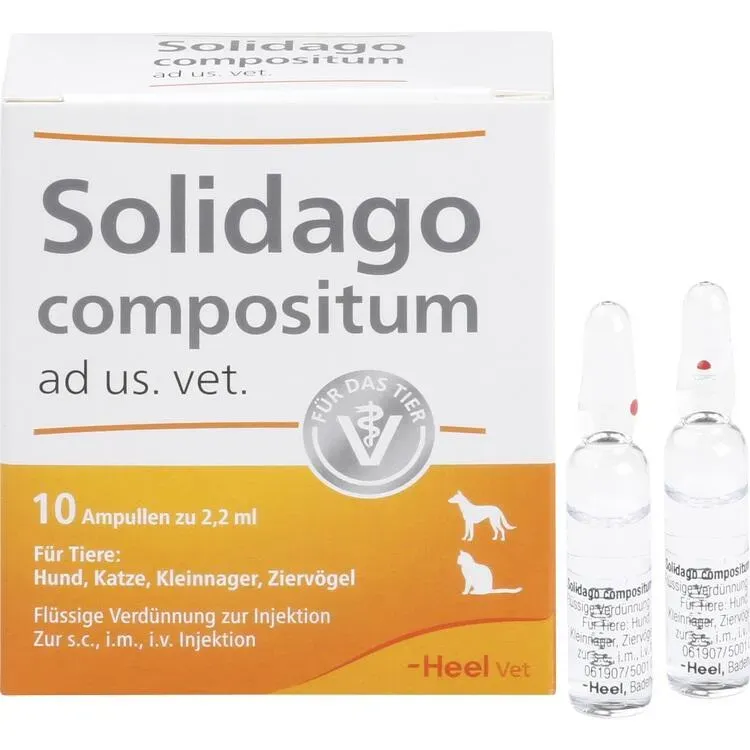 solidago compositum ampullen