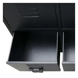 vidaXL Drehtürenschrank 67 x 107 x 35 cm schwarz