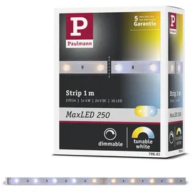Paulmann MaxLED-Stripe 250 Silber 1m