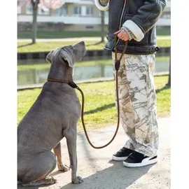 LIONTO Retrieverleine, für Hunde, Robust, Wetterfest, 170 cm, Braun