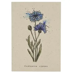 metabooks Postkarte Kornblume DINA6