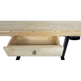Holzmann Maschinen Hobelbank Holz elektrisch höhenverstellbar 26,5 kg schwarz