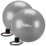 Newgen Medicals Sitzball Grau 65 cm