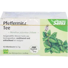 SALUS Pfefferminz Tee Menthae piperitae folium bio Salus