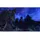 The Elder Scrolls Online - Gold Edition (USK) (Xbox One)
