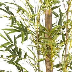 CREATIV green künstliche Pflanze Bambus vulgaris, ca 220cm