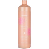Echos ECHOSLINE Discipline Shampoo for Unruly Frizzy and Unruly Hair 1000 ml