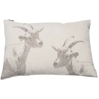 David Fussenegger Silvretta Ziege 8184, 40 x 60 cm