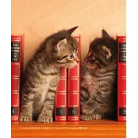 Brillenputztuch "Kätzchen im Bücherregal"