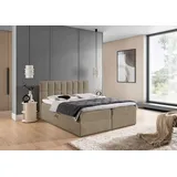 Fun Möbel Boxspringbett Schlafzimmerbett DOMINGA PREMIUM 160x220cm Stoff Coral Dunkelbeige - Beige