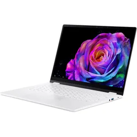 Acer Swift Edge 14 AI OLED SFE14-51T-97C4 Intel Core Ultra 9 288V 32 GB RAM 1 TB SSD