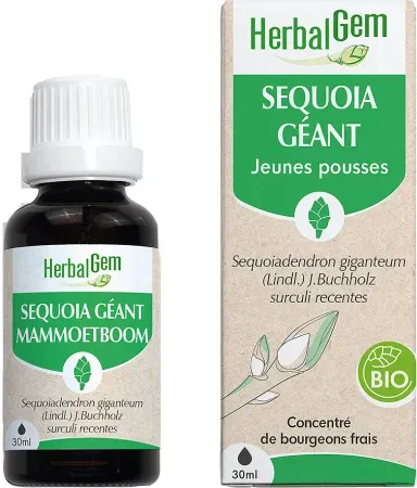 Herbalgem Sequoia Konzentriertes Muttermazerat Bio 30ml