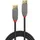 Lindy 36752 2m USB 3.2 Gen1 USB 3.0 - USB 3.1 Gen1) USB-A Stecker, USB-A Stecker 2.00 m