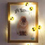 Hellum LED Lichterkette Kupfer 90 cm Warmweiß